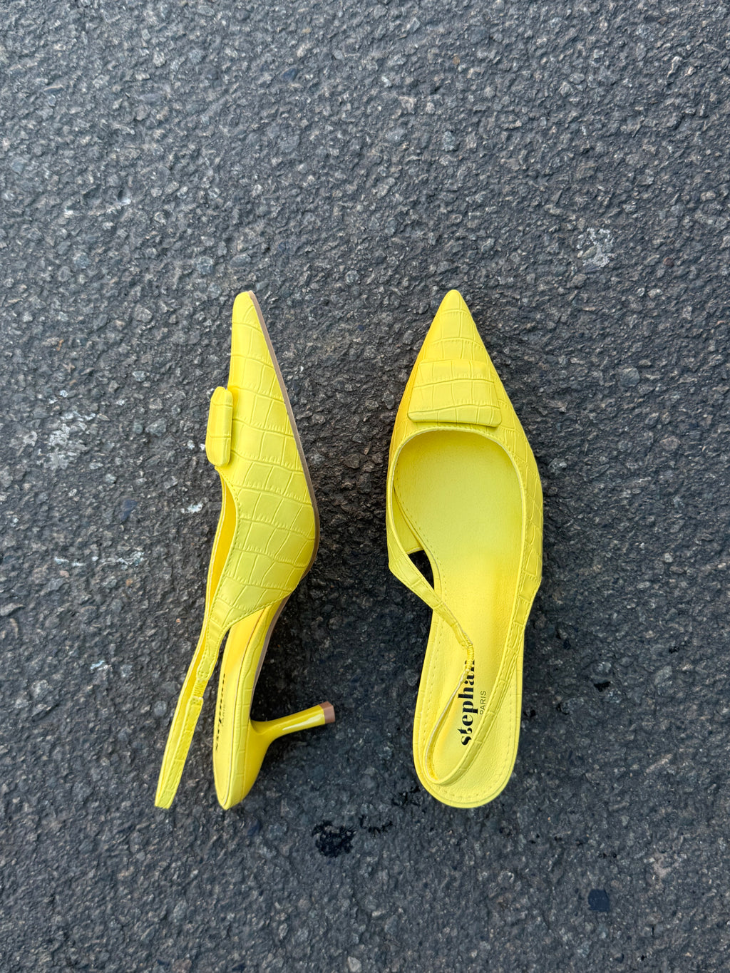 Talons Jaune